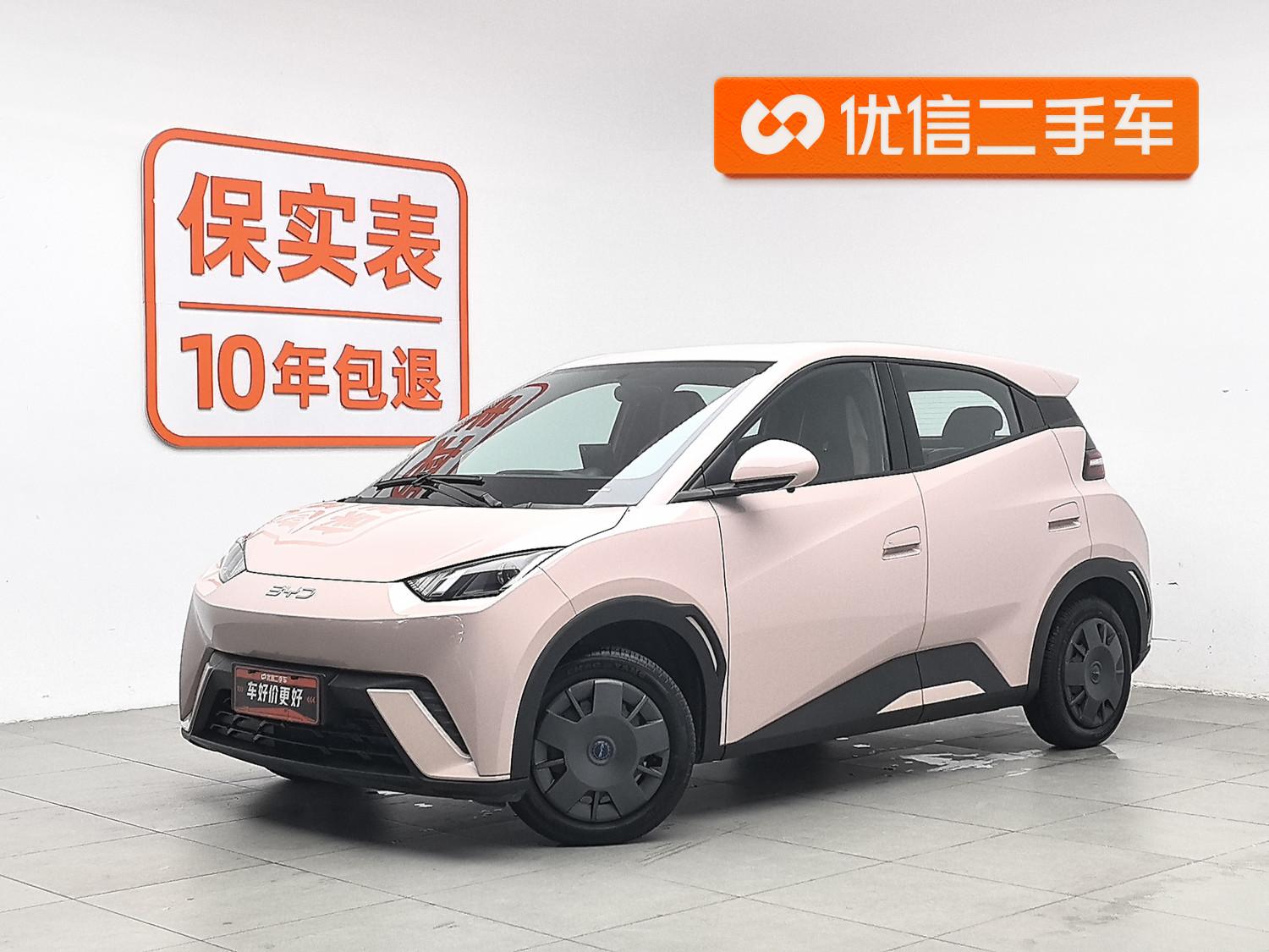 BYD Seagull