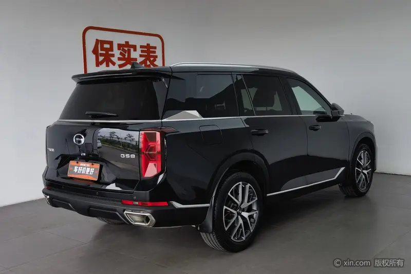 Trumpchi GACTrumpchi GS8 — фото 4