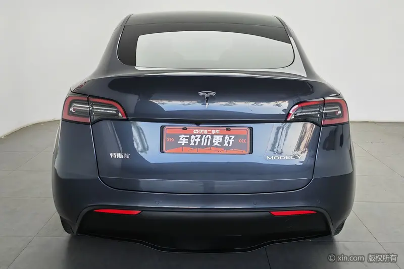 Tesla Model Y — фото 3