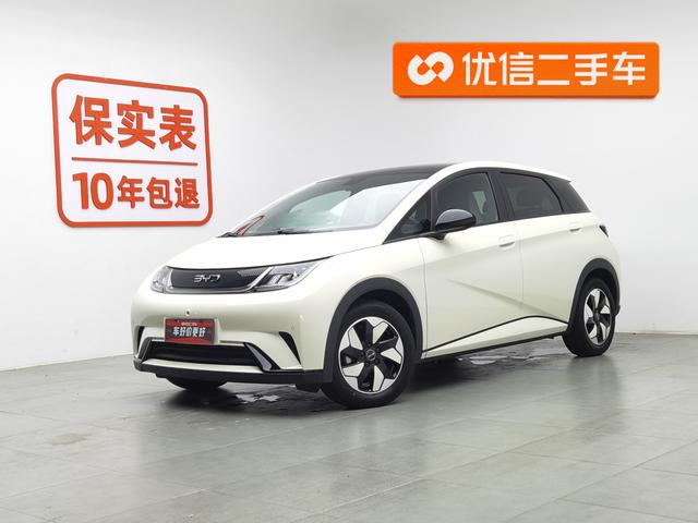BYD Dolphin 2024 года выпуска