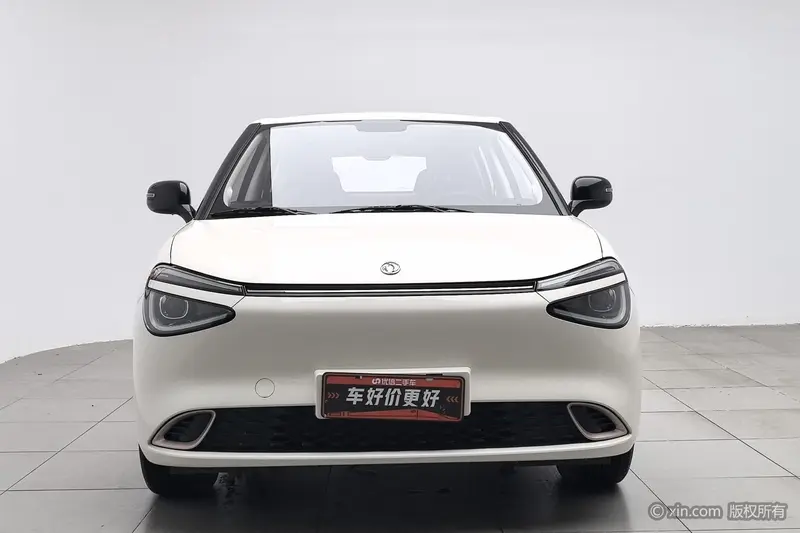 Dongfeng Nammi 01 — фото 2