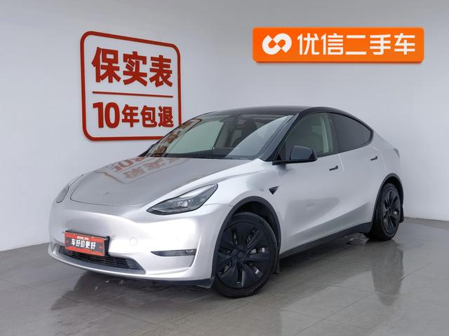 Tesla Model Y 2021 года выпуска