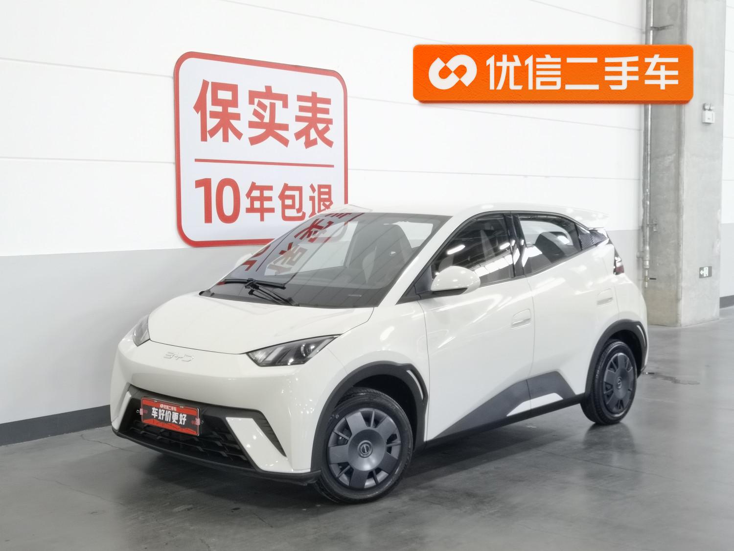 BYD Seagull