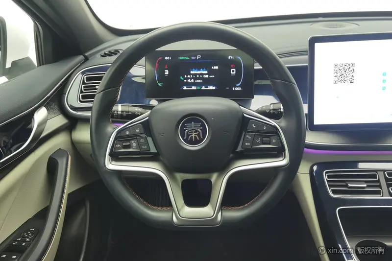 BYD Qin PLUS DM-i 120 KM — фото 9