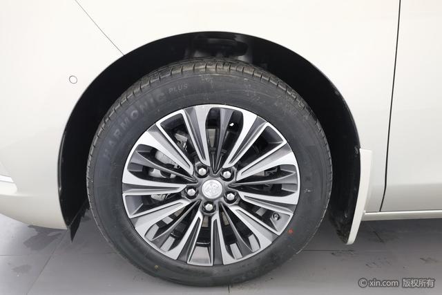 Buick GL8 2021 ES 653 T Luxury — фото 10