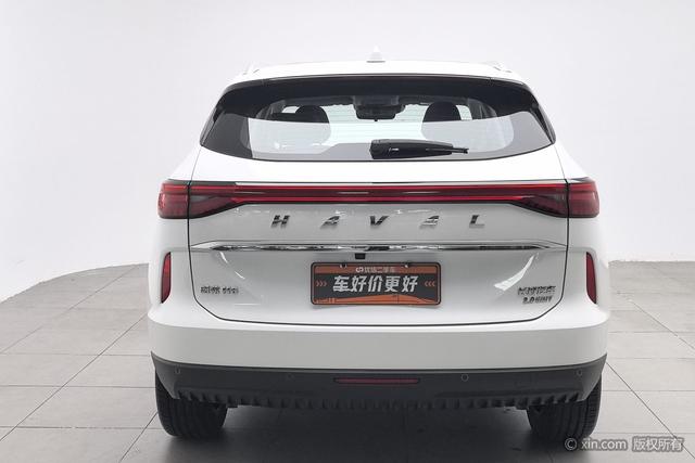 Haval H6 2021 2.0 T AT 4 WDMax — фото 3