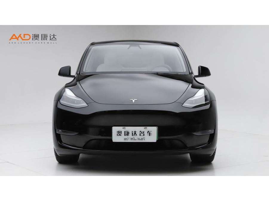 Tesla Model Y 2021 3D3/3D7