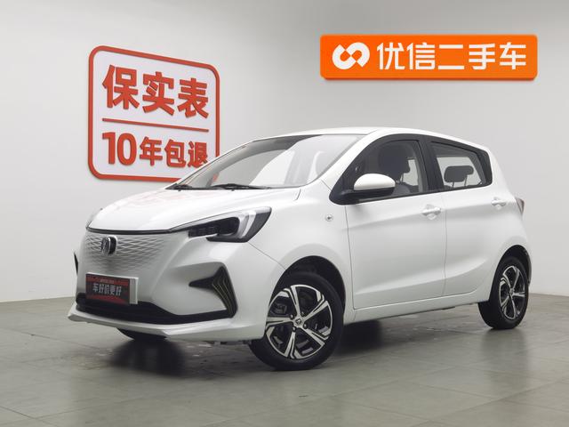Changan Benni EC/EV 2023 года выпуска