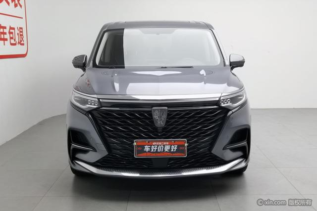 Roewe i MAX8 2021 400 TGI Supreme — фото 2