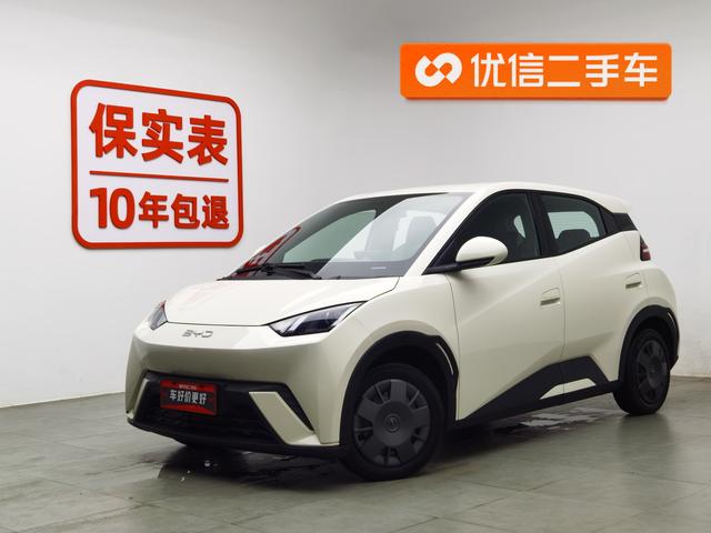 BYD Seagull 2024 года выпуска