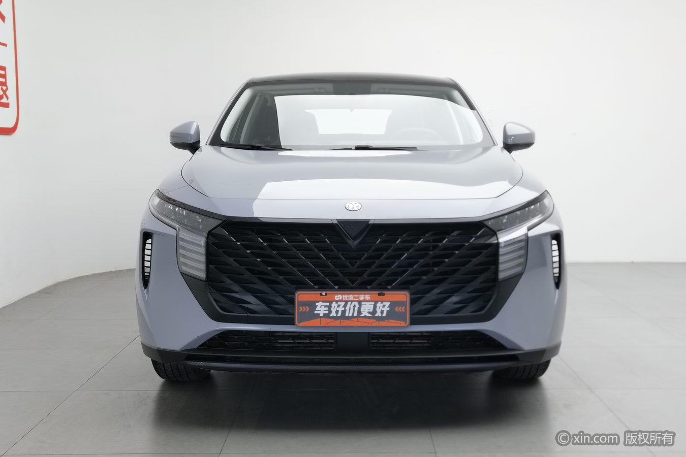 Venucia V 2022 260T