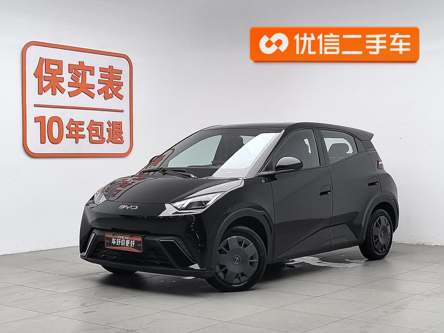 BYD Seagull