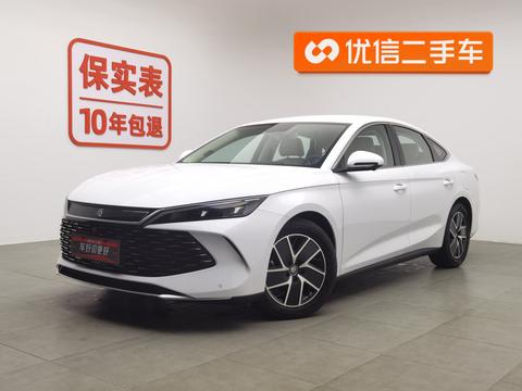 Qin L DM 2024 80KM Transcendent Type