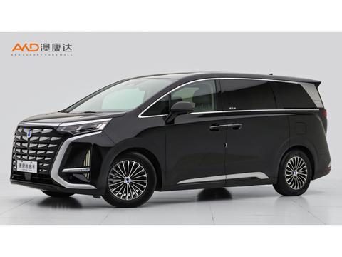 DENZA D9 DM