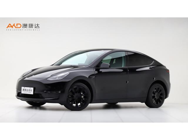 Tesla Model Y 2021 года выпуска
