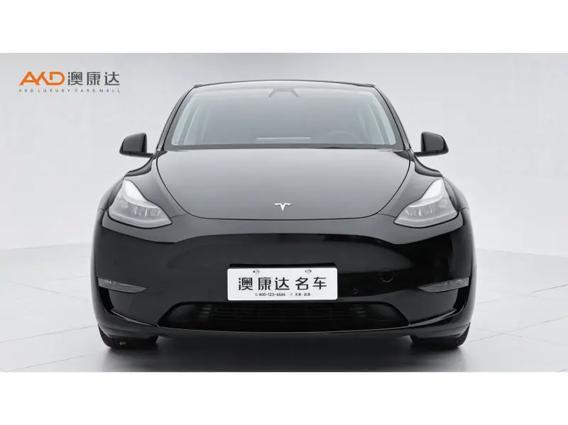 Tesla Model Y Performance — фото 2