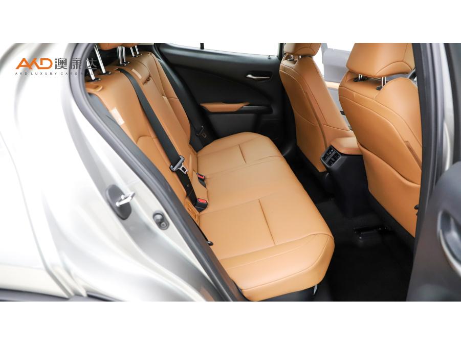 Lexus UX 2020 260h VI