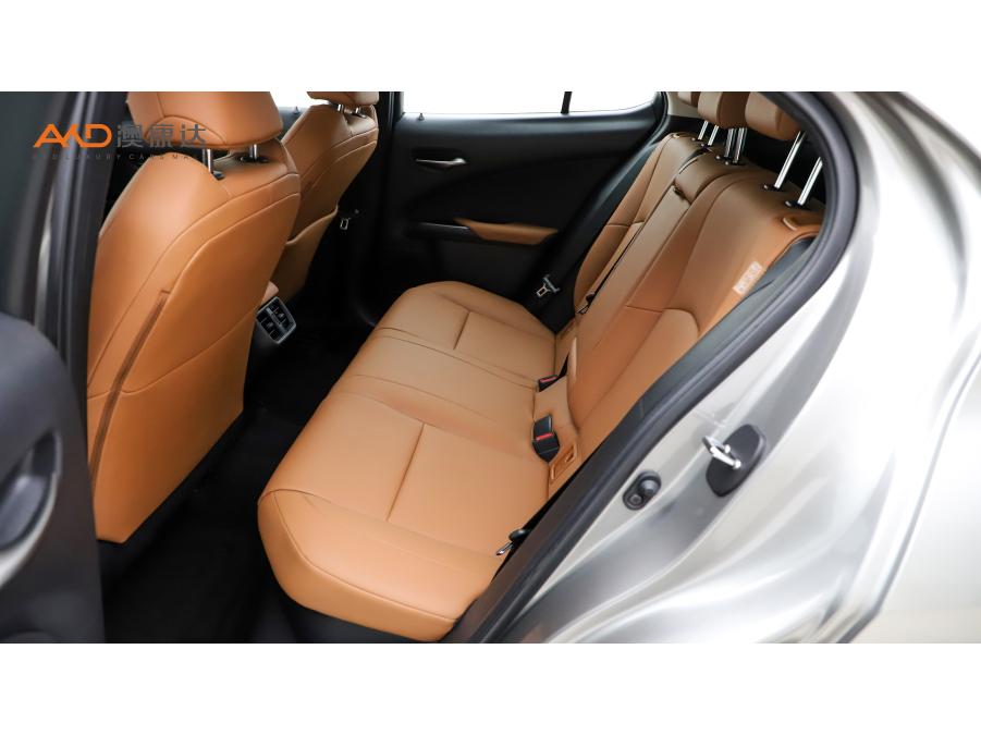 Lexus UX 2020 260h VI