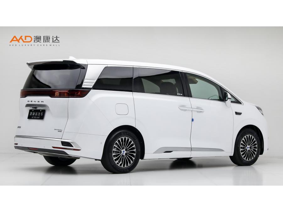 DENZA D9 DM, фото 4