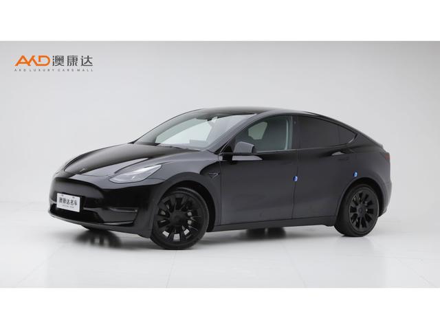 Tesla Model Y 2021 года выпуска