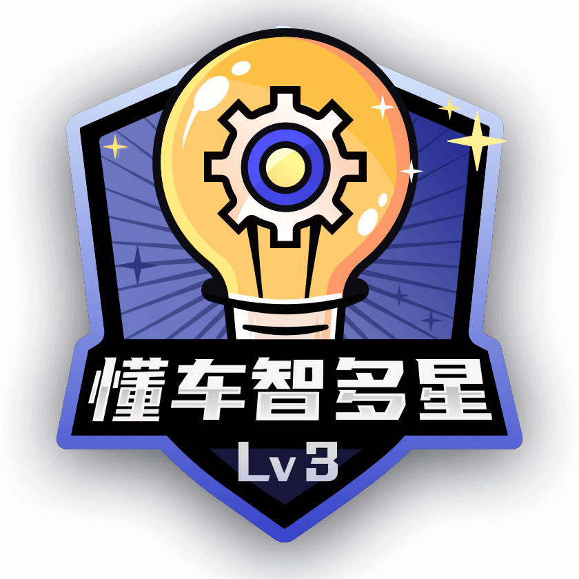 懂车智多星LV3