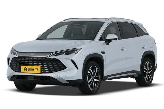 BYD Song L DM 11.98-15.48 — миниатюра 2