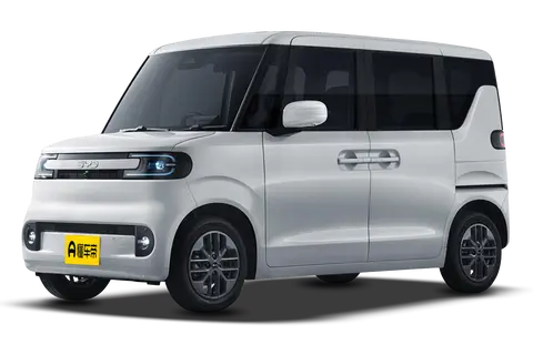 BYD RACCO