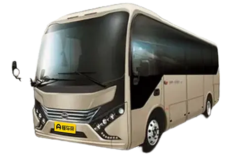BYD C6