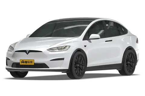 Model X