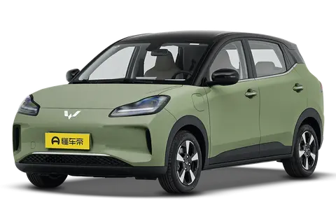 Wuling BinGuo PLUS
