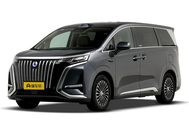 Denza D9 EV 31.98-46.98 — миниатюра 2