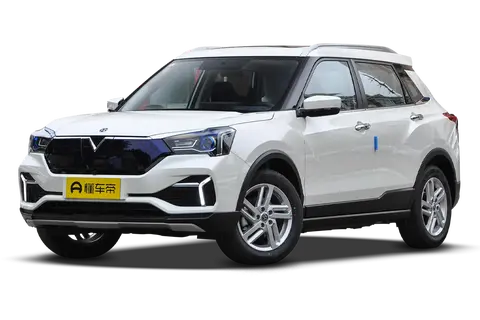 Venucia T60 EV