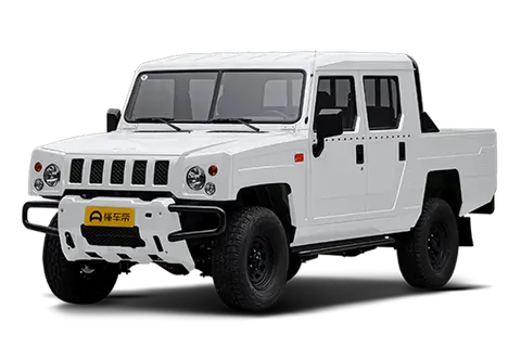 YongShi Pickup
