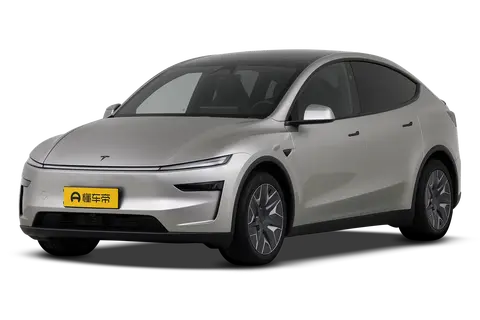 Model Y L